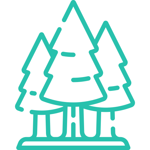 Maarten van Vliet Makelaars - Heemstede bos Groenendaal